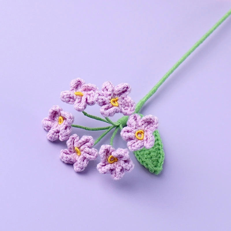Myosotis