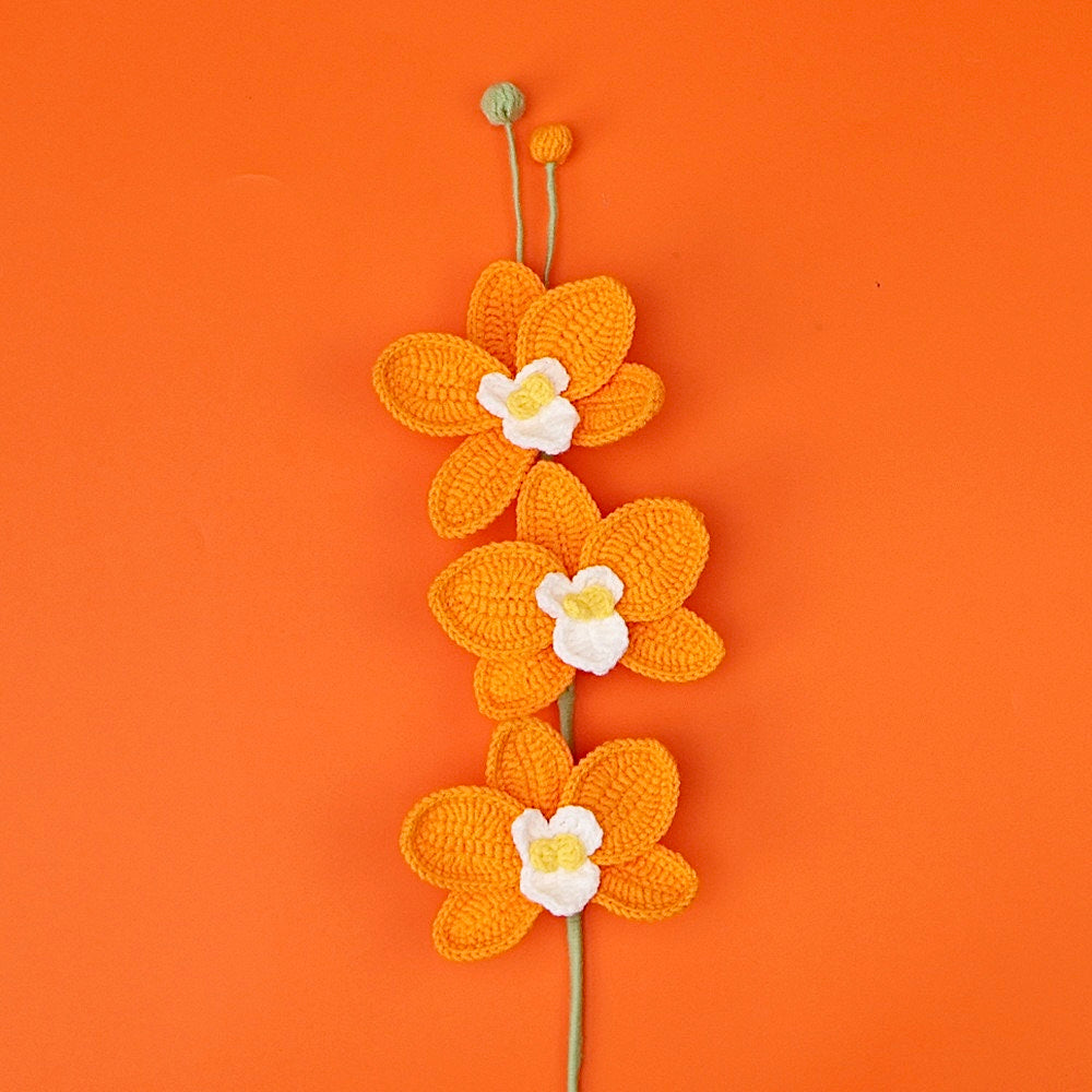 Orchidée