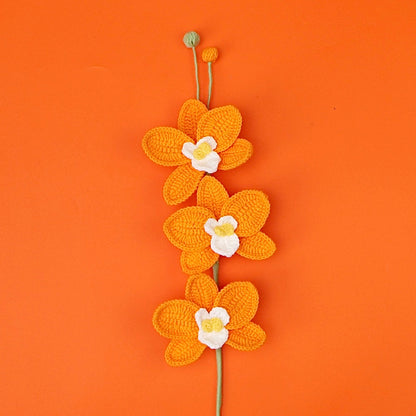 Orchidée