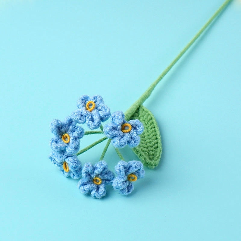Myosotis