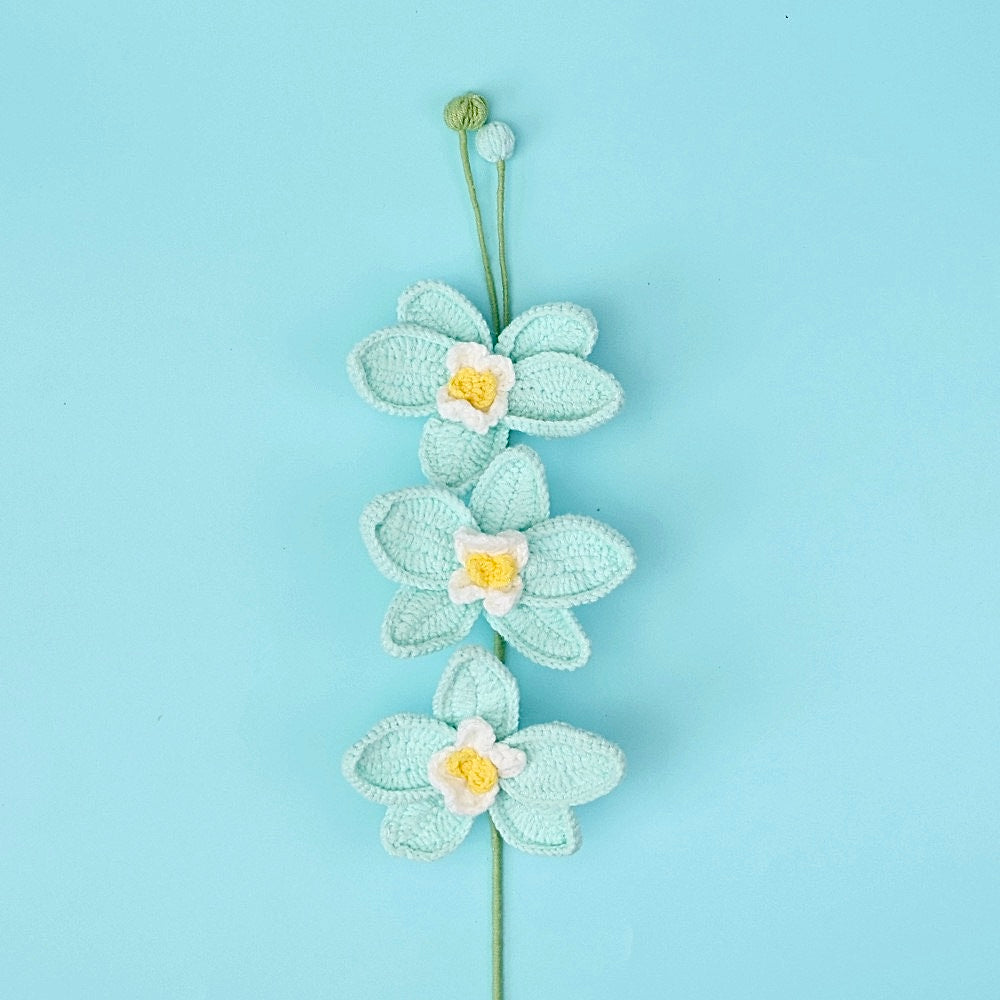 Orchidée