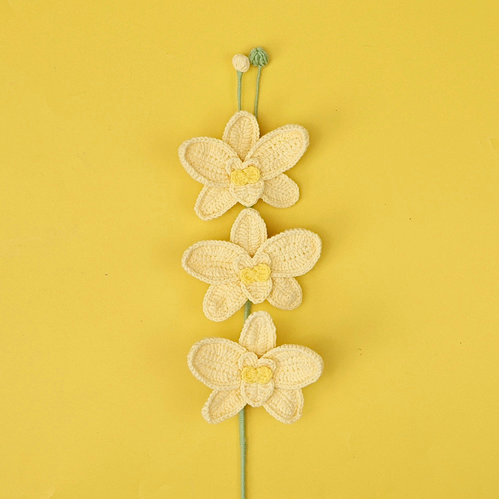Orchidée