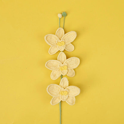 Orchidée