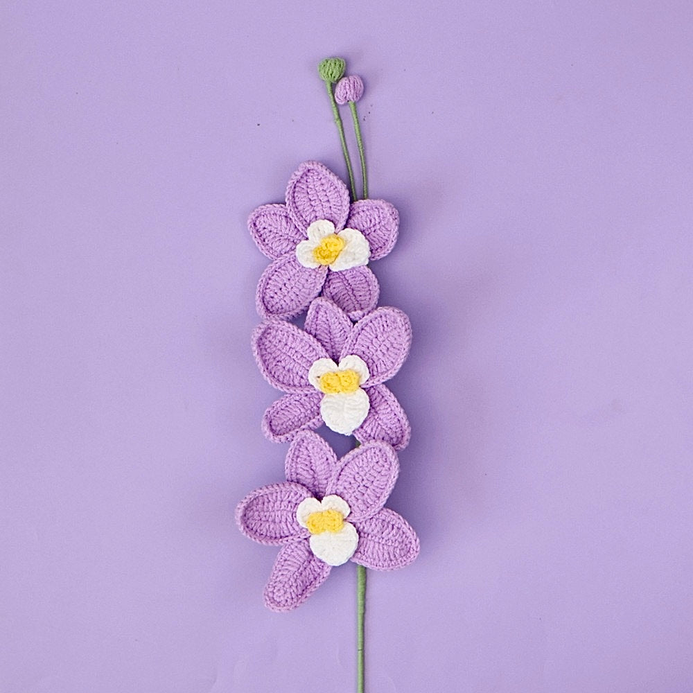 Orchidée
