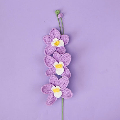 Orchidée