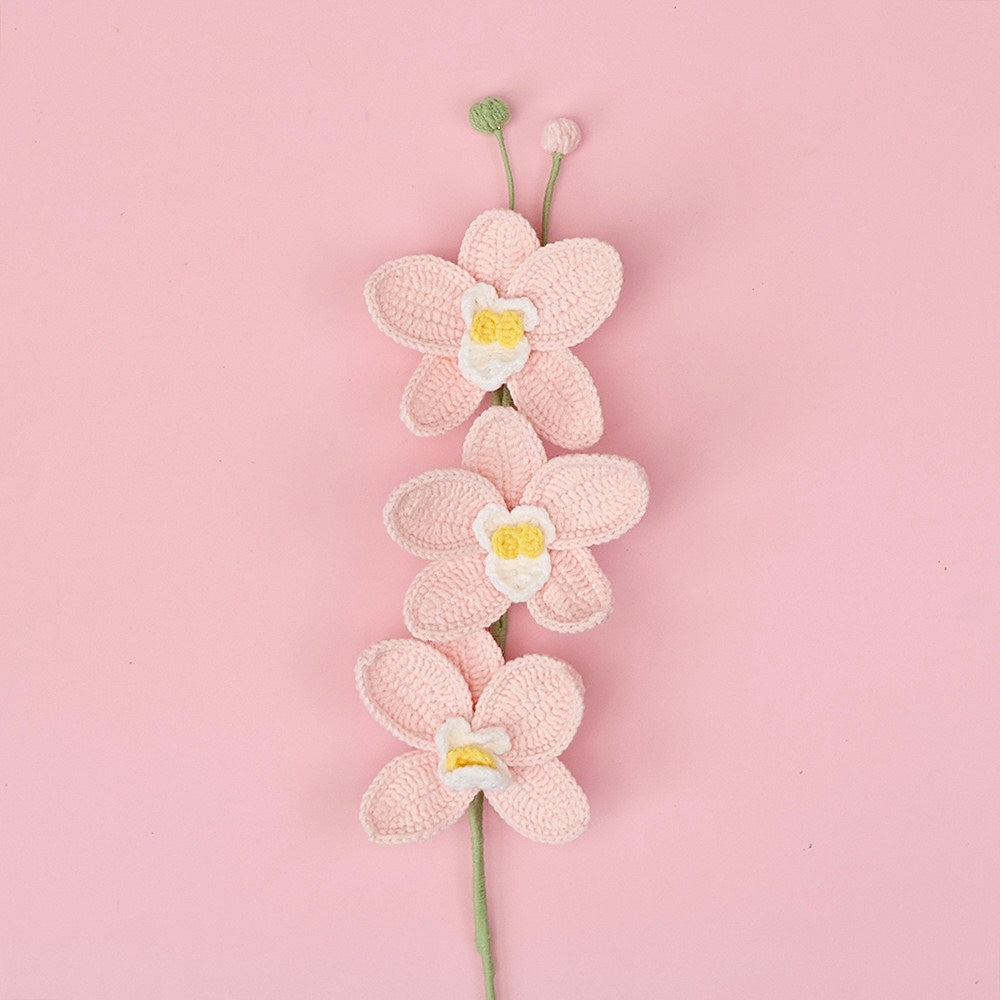 Orchidée