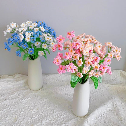 Myosotis