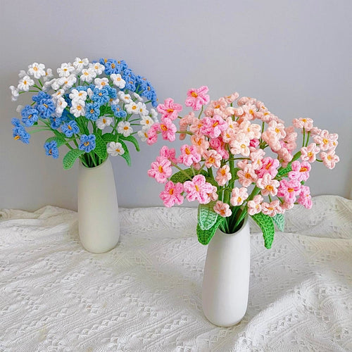 Myosotis