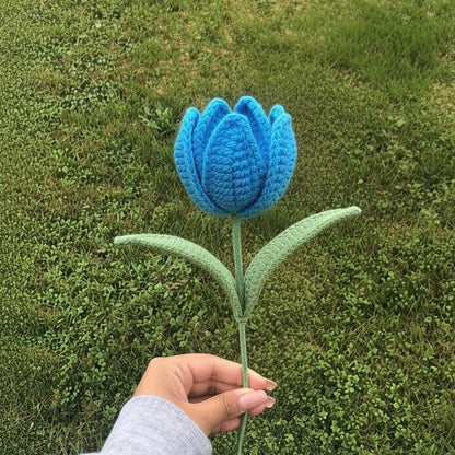 Tulipe