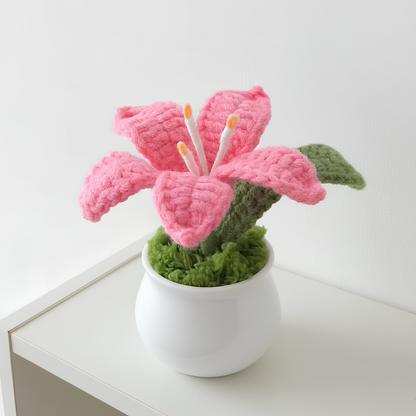 Lys en pot