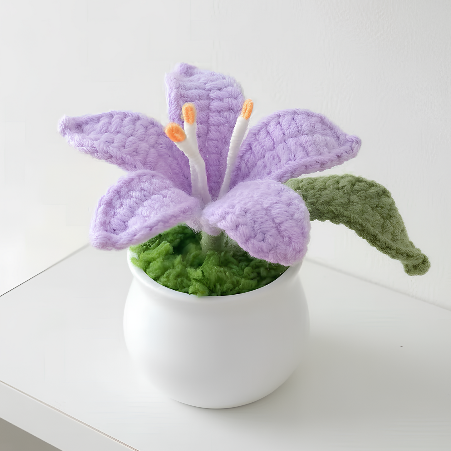 Lys en pot