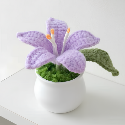 Lys en pot