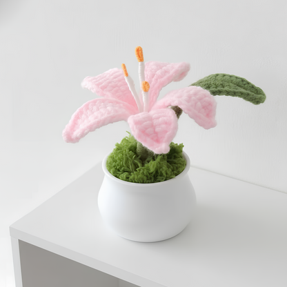 Lys en pot